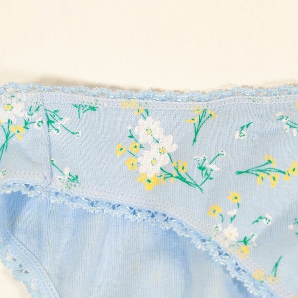 NWT Charter Club Panties Size XXL in Blue Floral - Picture 10 of 14